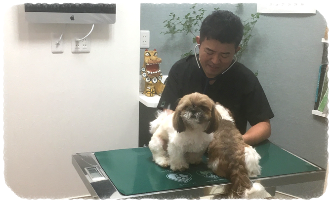 犬・猫専門の動物病院
